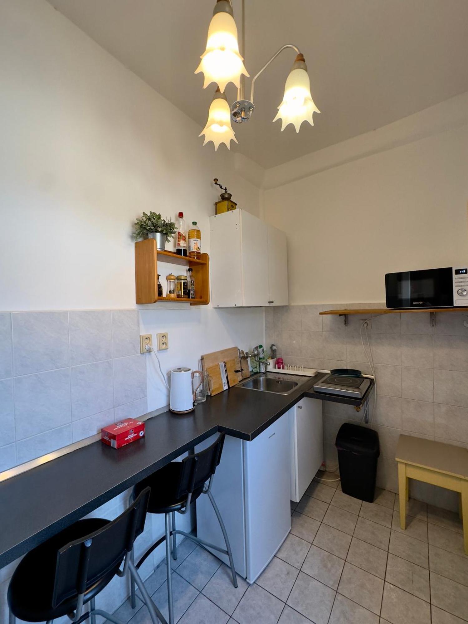 Apartment Sedlcanska - Will Save Money Here - Equipped With Antique Furniture Prague
